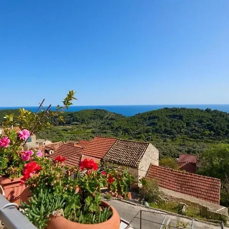 With Parking Space - Mljet - 22322