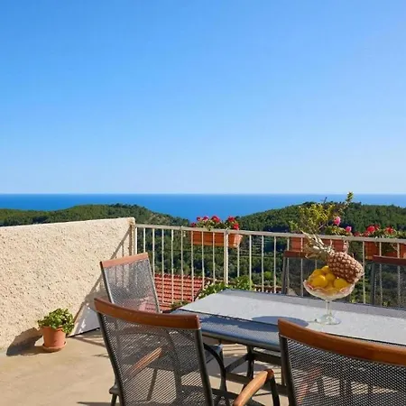 With Parking Space - Mljet - 22322 * Babino Polje