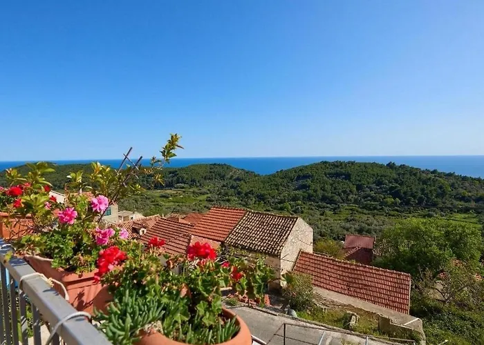 With Parking Space - Mljet - 22322