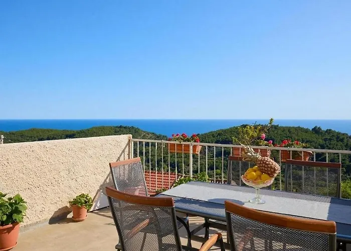 With Parking Space - Mljet - 22322 * Babino Polje