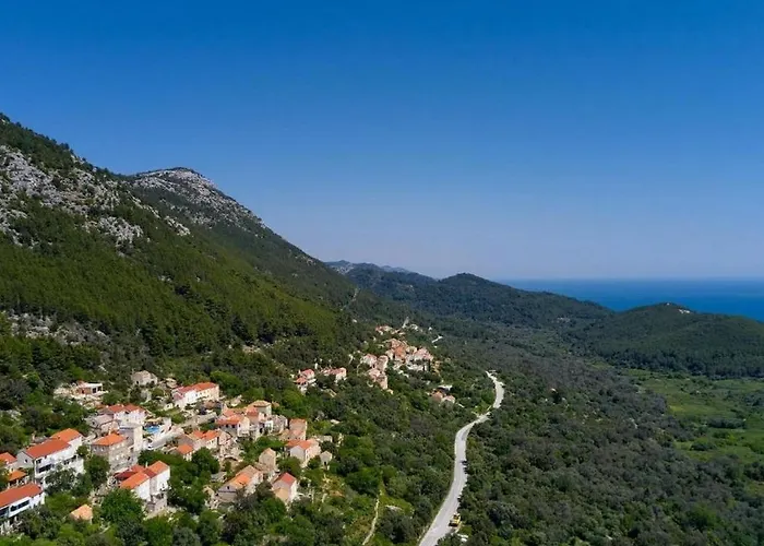 With Parking Space - Mljet - 22322 * Babino Polje